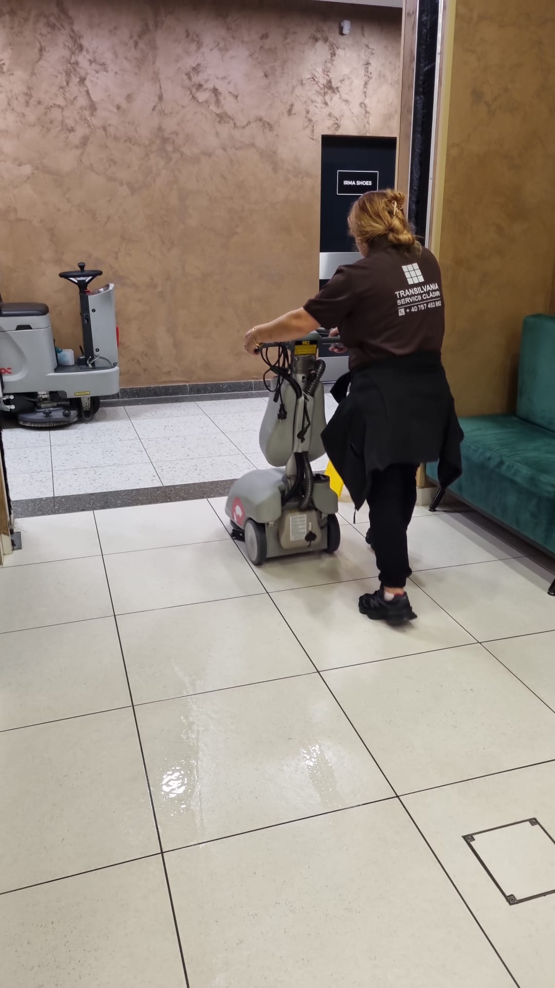 Curățenie profesională