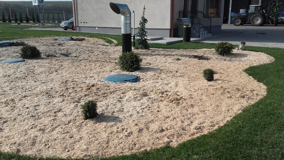 Detaliu gazon HempFlax Sebeș